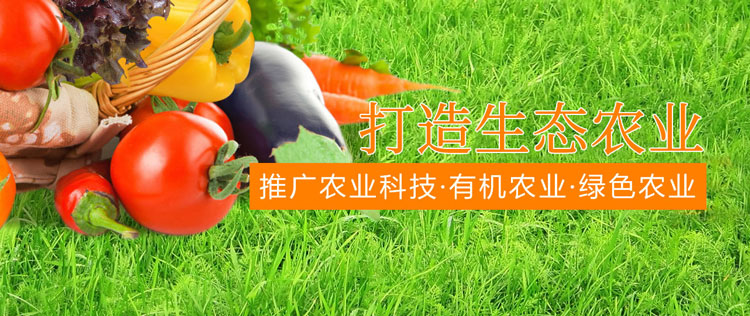 &#75;&#97;&#105;&#121;&#117;&#110;&#45;&#20013;&#22269;&#65288;&#23448;&#26041;&#32593;&#31449;&#65289;&#45;&#22269;&#23478;&#35748;&#35777;&#26381;&#21153;&#24179;&#21488;